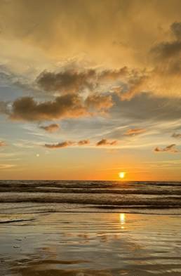 微信图片_20241211220439