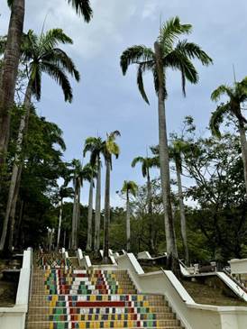 微信图片_20241211215603