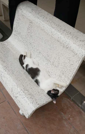 59c4c6dcc583a.png 屏幕快照 2017-09-22 11.48.29.png