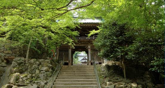 树林前的花园里有房子AI 生成的内容可能不正确。